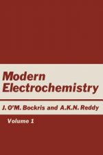 Modern Electrochemistry