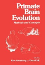 Primate Brain Evolution