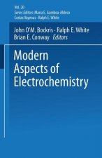 Modern Aspects of Electrochemistry No. 20