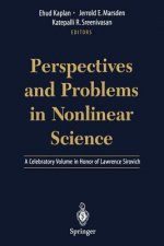 Perspectives and Problems in Nonlinear Science