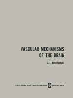 Vascular Mechanisms of the Brain /                  x                            / Funktsiya Sosudistykh Mekhanizmov Golovnogo Mozga