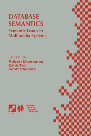 Database Semantics