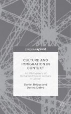 Culture and Immigration in Context