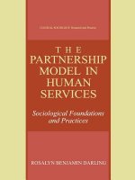 Partnership Model in Human Services