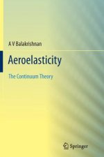 Aeroelasticity