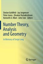 Number Theory, Analysis and Geometry