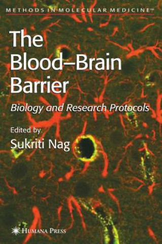 Blood'Brain Barrier