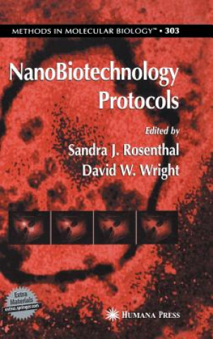 NanoBiotechnology Protocols