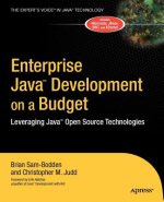 Enterprise Java Development on a Budget