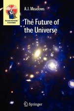 Future of the Universe