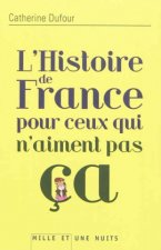 L'histoire de France pour ceux qui n'aiment pas ça