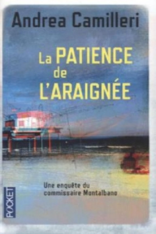 La patience de l' araignée