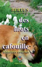 Des mots en cafouille III