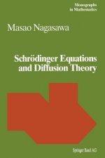Schroedinger Equations and Diffusion Theory