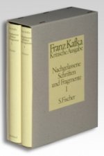 Nachgelassene Schriften und Fragmente, Kritische Ausgabe, 2 Bde.. Tl.1