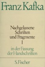 Nachgelassene Schriften und Fragmente, in der Fassung der Handschriften. Tl.1