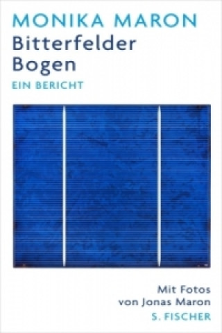 Bitterfelder Bogen