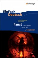 Johann Wolfgang von Goethe 'Faust - Der Tragödie erster Teil'