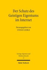 Der Schutz des Geistigen Eigentums im Internet