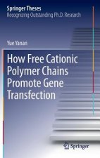 How Free Cationic Polymer Chains Promote Gene Transfection