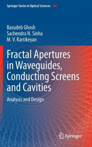 Fractal Apertures in Waveguides, Conducting Screens and Cavities