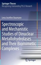 Spectroscopic and Mechanistic Studies of Dinuclear Metallohydrolases and Their Biomimetic Complexes