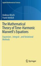 Mathematical Theory of Time-Harmonic Maxwell's Equations