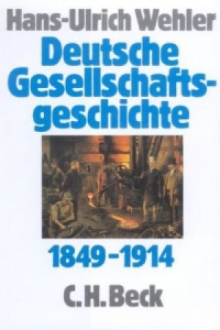 Deutsche Gesellschaftsgeschichte Bd. 3: Von der 'Deutschen Doppelrevolution' bis zum Beginn des Ersten Weltkrieges 1849-1914