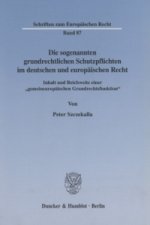 Die sogenannten grundrechtlichen Schutzpflichten im deutschen und europäischen Recht.