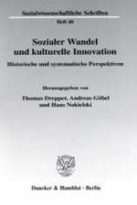 Sozialer Wandel und kulturelle Innovation