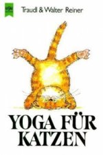 Yoga für Katzen