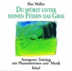 Du spürst unter deinen Füßen das Gras, Audio-CD