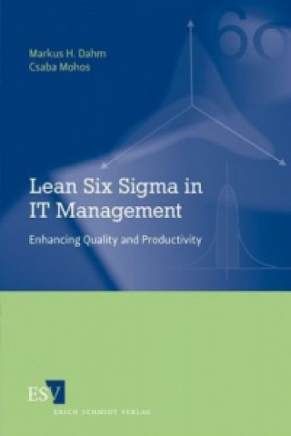 Lean Six Sigma in IT Management