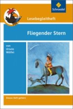 Lesebegleitheft zum Titel Fliegender Stern von Ursula Wölfel