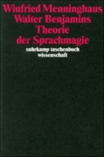 Walter Benjamins Theorie der Sprachmagie