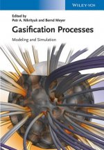 Gasification Processes - Modeling and Simulation