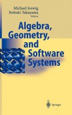 Algebra, Geometry and Software Systems