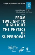 From Twilight to Highlight: The Physics of Supernovae