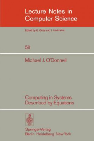 Computing in Systems Described by Equations