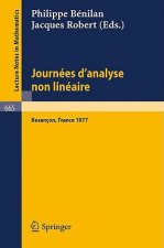Journees d'Analyse Non Lineaire