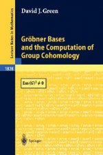 Gröbner Bases and the Computation of Group Cohomology