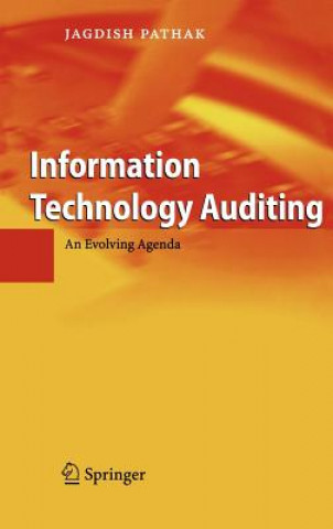 Information Technology Auditing