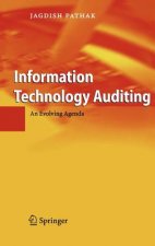 Information Technology Auditing
