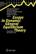 Essays in Dynamic General Equilibrium Theory