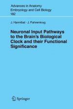 Neuronal Input Pathways to the Brain's Biological Clock and their Functional Significance