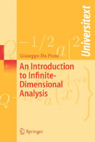 Introduction to Infinite-Dimensional Analysis