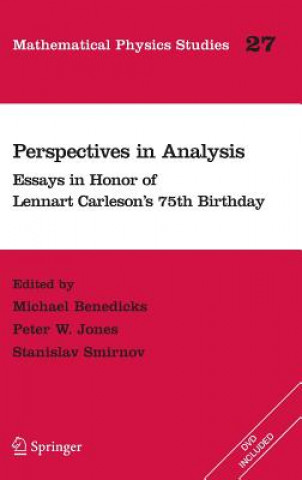 Perspectives in Analysis