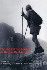 Scientific Legacy of Beppo Occhialini