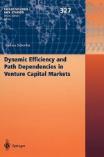 Dynamic Efficiency and Path Dependencies in Venture Capital Markets