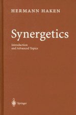 Synergetics